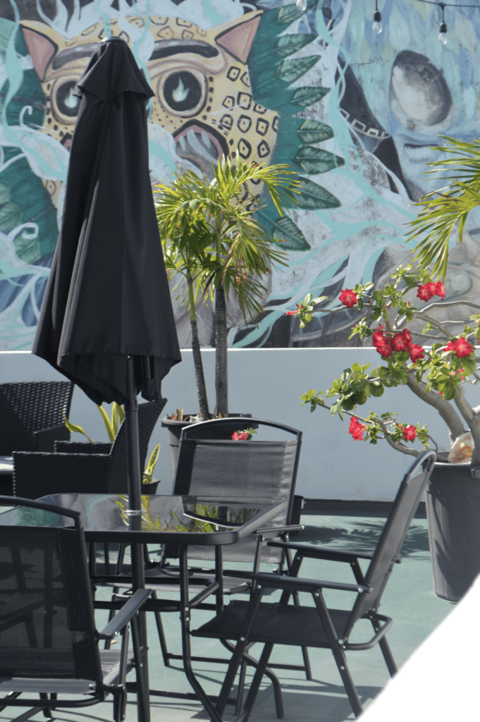 playa del carmen terraza